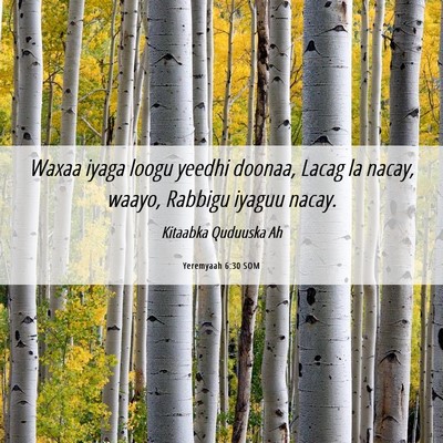 Picture 06 - Yeremyaah 6:30 SOM - Waxaa iyaga loogu yeedhi doonaa, Lacag la nacay, - Bible Verse Picture