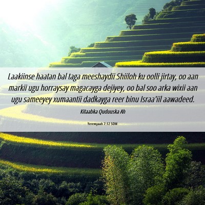 Picture 06 - Yeremyaah 7:12 SOM - Laakiinse haatan bal taga meeshaydii Shiiloh ku - Bible Verse Picture