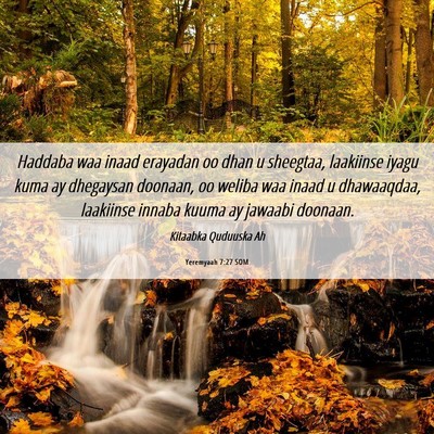 Picture 06 - Yeremyaah 7:27 SOM - Haddaba waa inaad erayadan oo dhan u sheegtaa, - Bible Verse Picture