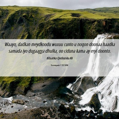 Picture 06 - Yeremyaah 7:33 SOM - Waayo, dadkan meydkoodu wuxuu cunto u noqon - Bible Verse Picture