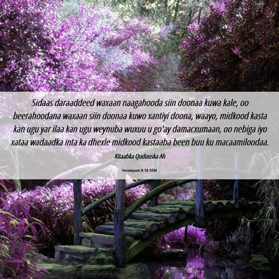 Picture 06 - Yeremyaah 8:10 SOM - Sidaas daraaddeed waxaan naagahooda siin doonaa - Bible Verse Picture