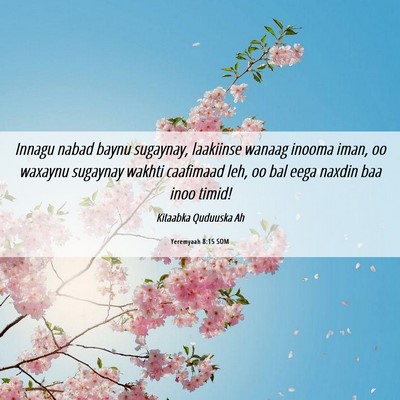 Picture 06 - Yeremyaah 8:15 SOM - Innagu nabad baynu sugaynay, laakiinse wanaag - Bible Verse Picture