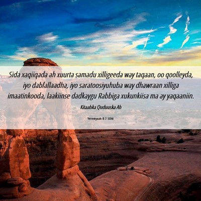Picture 06 - Yeremyaah 8:7 SOM - Sida xaqiiqada ah xuurta samadu xilligeeda way - Bible Verse Picture