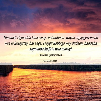 Picture 06 - Yeremyaah 8:9 SOM - Nimankii xigmadda lahaa way ceeboobeen, wayna - Bible Verse Picture