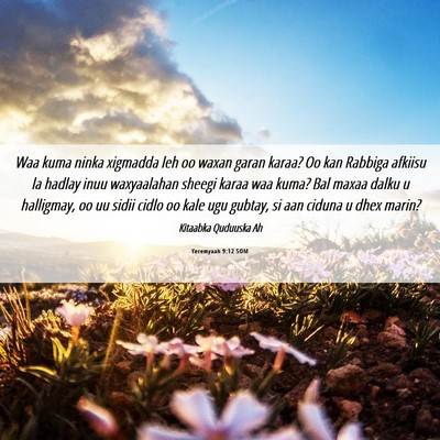 Picture 06 - Yeremyaah 9:12 SOM - Waa kuma ninka xigmadda leh oo waxan garan karaa? - Bible Verse Picture