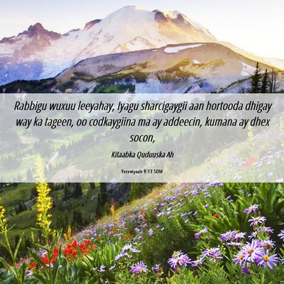 Picture 06 - Yeremyaah 9:13 SOM - Rabbigu wuxuu leeyahay, Iyagu sharcigaygii aan - Bible Verse Picture