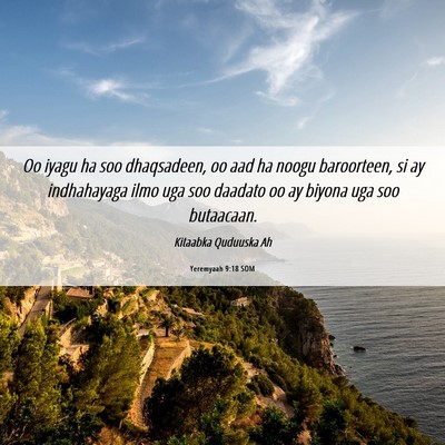 Picture 06 - Yeremyaah 9:18 SOM - Oo iyagu ha soo dhaqsadeen, oo aad ha noogu - Bible Verse Picture