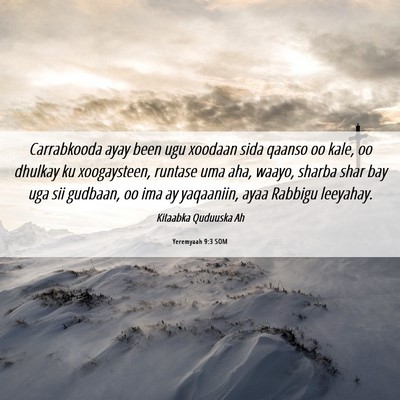 Picture 06 - Yeremyaah 9:3 SOM - Carrabkooda ayay been ugu xoodaan sida qaanso oo - Bible Verse Picture
