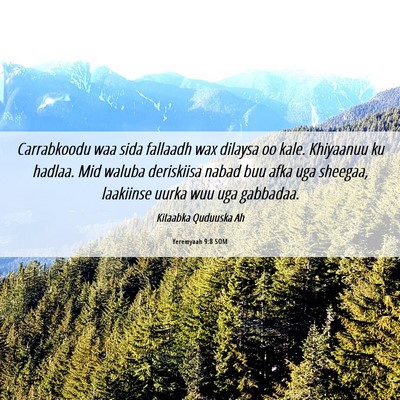 Picture 06 - Yeremyaah 9:8 SOM - Carrabkoodu waa sida fallaadh wax dilaysa oo - Bible Verse Picture