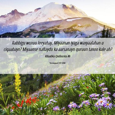 Picture 06 - Yeremyaah 9:9 SOM - Rabbigu wuxuu leeyahay, Miyaanan iyaga - Bible Verse Picture