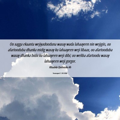 Picture 06 - Yexesqeel 1:10 SOM - Oo xagga ekaanta wejiyadooduna waxay wada - Bible Verse Picture