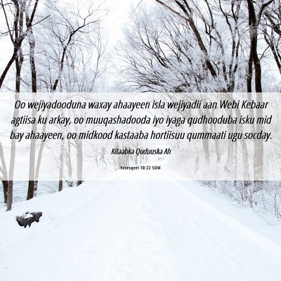 Picture 06 - Yexesqeel 10:22 SOM - Oo wejiyadooduna waxay ahaayeen isla wejiyadii - Bible Verse Picture