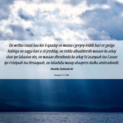Picture 06 - Yexesqeel 11:1 SOM - Oo weliba ruuxii baa kor ii qaaday oo wuxuu i - Bible Verse Picture