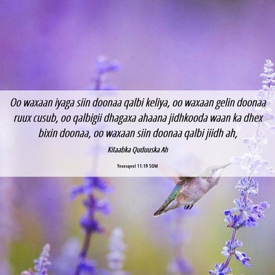 Picture 06 - Yexesqeel 11:19 SOM - Oo waxaan iyaga siin doonaa qalbi keliya, oo - Bible Verse Picture