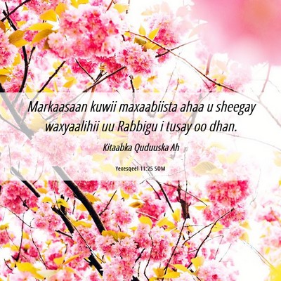 Picture 06 - Yexesqeel 11:25 SOM - Markaasaan kuwii maxaabiista ahaa u sheegay - Bible Verse Picture
