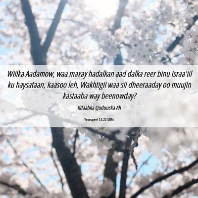 Picture 06 - Yexesqeel 12:22 SOM - Wiilka Aadamow, waa maxay hadalkan aad dalka reer - Bible Verse Picture