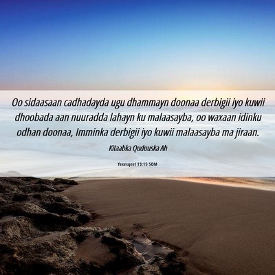 Picture 06 - Yexesqeel 13:15 SOM - Oo sidaasaan cadhadayda ugu dhammayn doonaa - Bible Verse Picture
