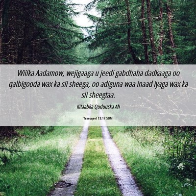 Picture 06 - Yexesqeel 13:17 SOM - Wiilka Aadamow, wejigaaga u jeedi gabdhaha - Bible Verse Picture