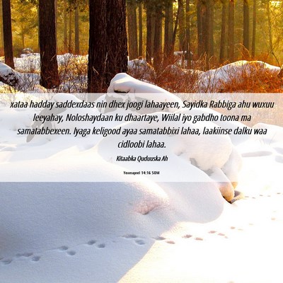 Picture 06 - Yexesqeel 14:16 SOM - xataa hadday saddexdaas nin dhex joogi lahaayeen, - Bible Verse Picture