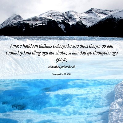 Picture 06 - Yexesqeel 14:19 SOM - Amase haddaan dalkaas belaayo ku soo dhex daayo, - Bible Verse Picture