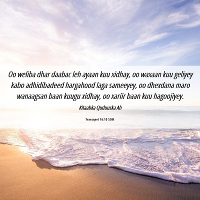 Picture 06 - Yexesqeel 16:10 SOM - Oo weliba dhar daabac leh ayaan kuu xidhay, oo - Bible Verse Picture