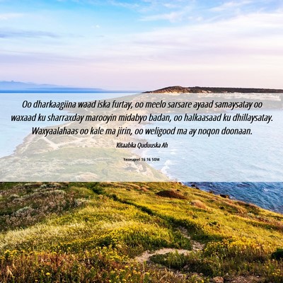 Picture 06 - Yexesqeel 16:16 SOM - Oo dharkaagiina waad iska furtay, oo meelo - Bible Verse Picture