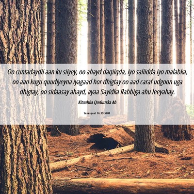 Picture 06 - Yexesqeel 16:19 SOM - Oo cuntadaydii aan ku siiyey, oo ahayd daqiiqda, - Bible Verse Picture