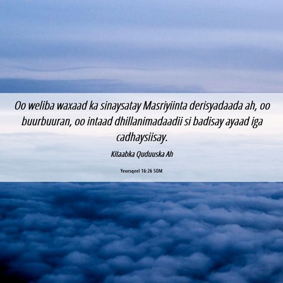 Picture 06 - Yexesqeel 16:26 SOM - Oo weliba waxaad ka sinaysatay Masriyiinta - Bible Verse Picture