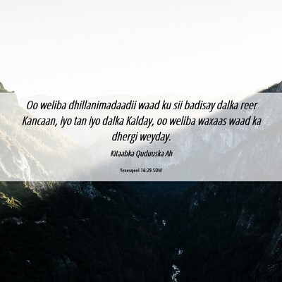 Picture 06 - Yexesqeel 16:29 SOM - Oo weliba dhillanimadaadii waad ku sii badisay - Bible Verse Picture