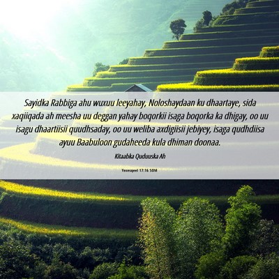Picture 06 - Yexesqeel 17:16 SOM - Sayidka Rabbiga ahu wuxuu leeyahay, Noloshaydaan - Bible Verse Picture