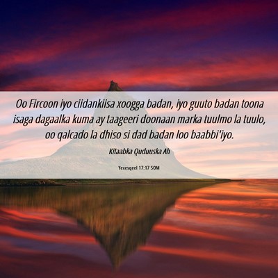Picture 06 - Yexesqeel 17:17 SOM - Oo Fircoon iyo ciidankiisa xoogga badan, iyo - Bible Verse Picture