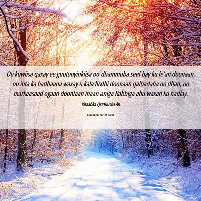 Picture 06 - Yexesqeel 17:21 SOM - Oo kuwiisa qaxay ee guutooyinkiisa oo dhammuba - Bible Verse Picture