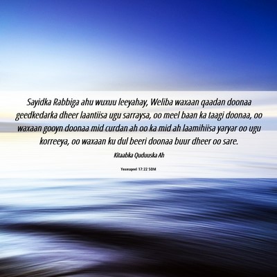 Picture 06 - Yexesqeel 17:22 SOM - Sayidka Rabbiga ahu wuxuu leeyahay, Weliba waxaan - Bible Verse Picture