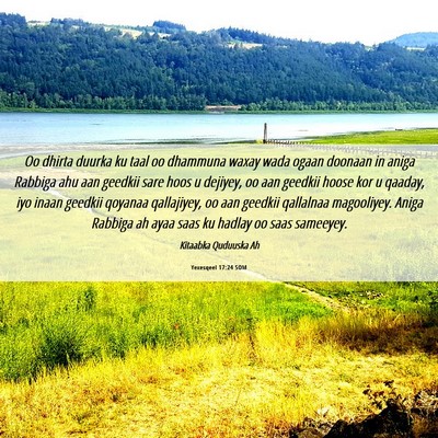Picture 06 - Yexesqeel 17:24 SOM - Oo dhirta duurka ku taal oo dhammuna waxay wada - Bible Verse Picture