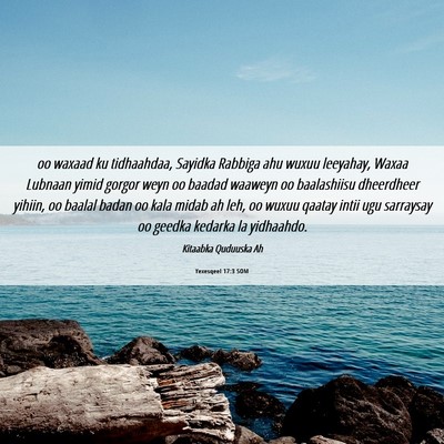 Picture 06 - Yexesqeel 17:3 SOM - oo waxaad ku tidhaahdaa, Sayidka Rabbiga ahu - Bible Verse Picture