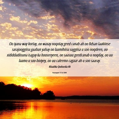 Picture 06 - Yexesqeel 17:6 SOM - Oo iyana way kortay, oo waxay noqotay geed canab - Bible Verse Picture
