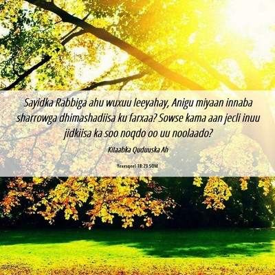 Picture 06 - Yexesqeel 18:23 SOM - Sayidka Rabbiga ahu wuxuu leeyahay, Anigu miyaan - Bible Verse Picture
