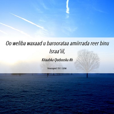 Picture 06 - Yexesqeel 19:1 SOM - Oo weliba waxaad u baroorataa amiirrada reer binu - Bible Verse Picture