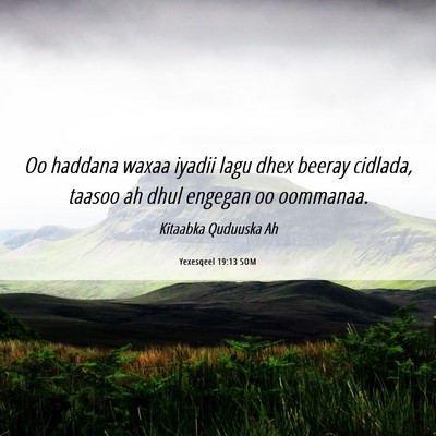 Picture 06 - Yexesqeel 19:13 SOM - Oo haddana waxaa iyadii lagu dhex beeray cidlada, - Bible Verse Picture