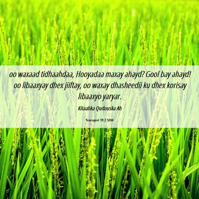 Picture 06 - Yexesqeel 19:2 SOM - oo waxaad tidhaahdaa, Hooyadaa maxay ahayd? Gool - Bible Verse Picture