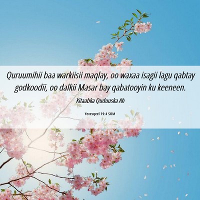 Picture 06 - Yexesqeel 19:4 SOM - Quruumihii baa warkiisii maqlay, oo waxaa isagii - Bible Verse Picture