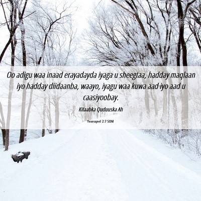 Picture 06 - Yexesqeel 2:7 SOM - Oo adigu waa inaad erayadayda iyaga u sheegtaa, - Bible Verse Picture