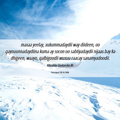 Picture 06 - Yexesqeel 20:16 SOM - maxaa yeelay, xukummadaydii way diideen, oo - Bible Verse Picture