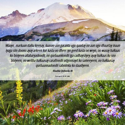 Picture 06 - Yexesqeel 20:28 SOM - Waayo, markaan dalka keenay, kaasoo aan gacanta - Bible Verse Picture