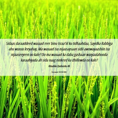 Picture 06 - Yexesqeel 20:30 SOM - Sidaas daraaddeed waxaad reer binu Israa'iil ku - Bible Verse Picture