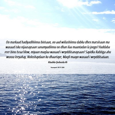 Picture 06 - Yexesqeel 20:31 SOM - Oo markaad hadiyadihiinna bixisaan, oo aad - Bible Verse Picture