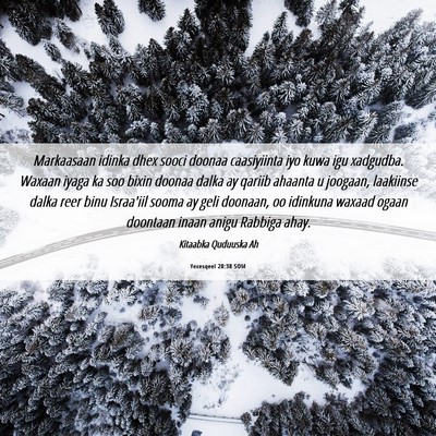 Picture 06 - Yexesqeel 20:38 SOM - Markaasaan idinka dhex sooci doonaa caasiyiinta - Bible Verse Picture