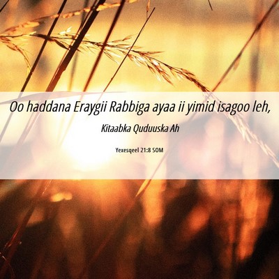 Picture 06 - Yexesqeel 21:8 SOM - Oo haddana Eraygii Rabbiga ayaa ii yimid isagoo - Bible Verse Picture