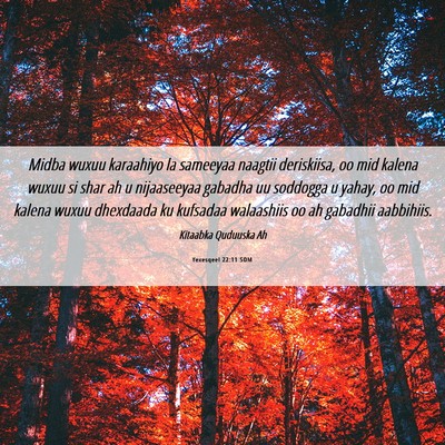 Picture 06 - Yexesqeel 22:11 SOM - Midba wuxuu karaahiyo la sameeyaa naagtii - Bible Verse Picture