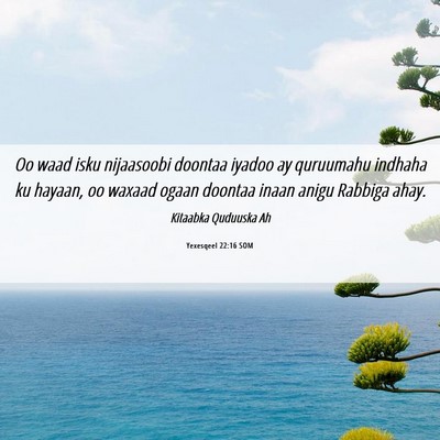 Picture 06 - Yexesqeel 22:16 SOM - Oo waad isku nijaasoobi doontaa iyadoo ay - Bible Verse Picture